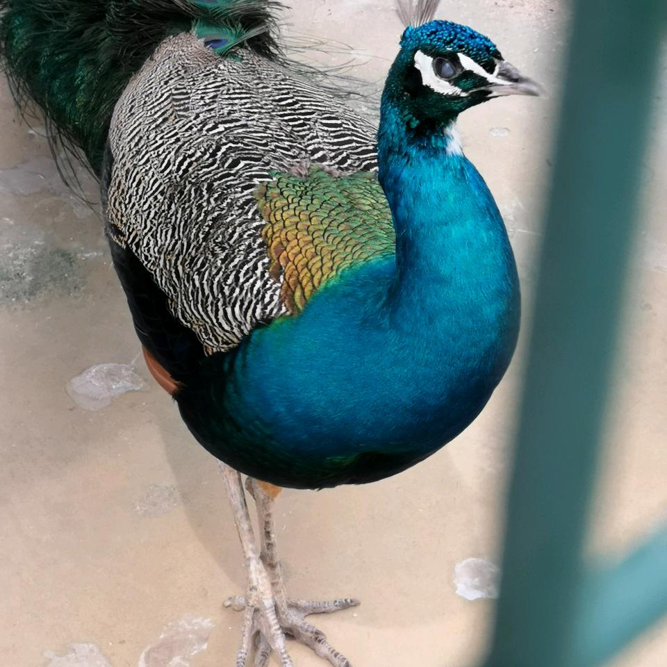 一抹阳光