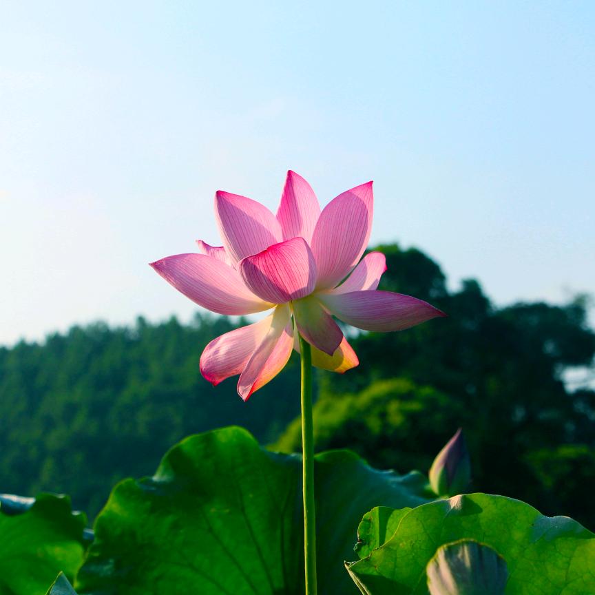 弋战户外用品店