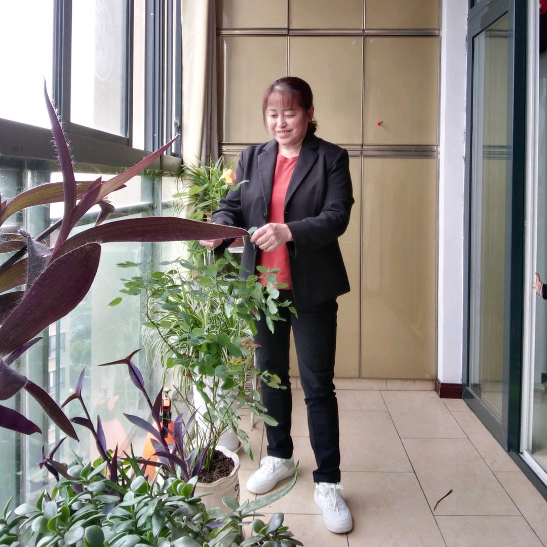 60后的韦姐《家和万事兴》