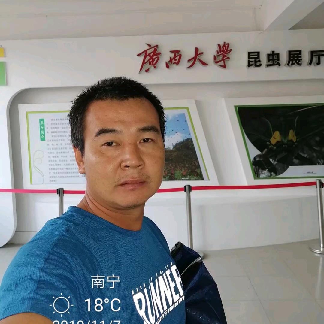 老陈绿植