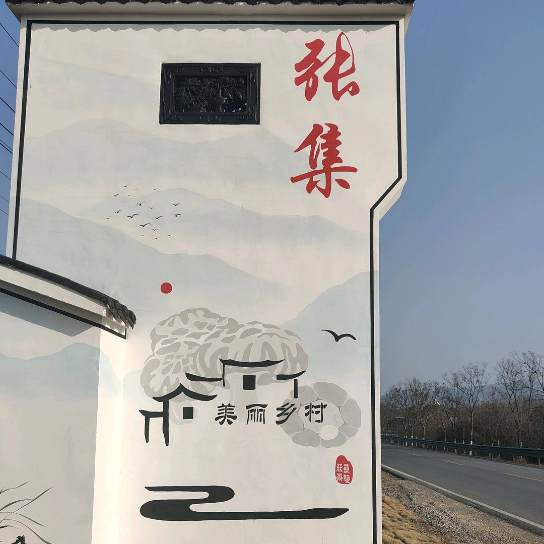 菇香张集