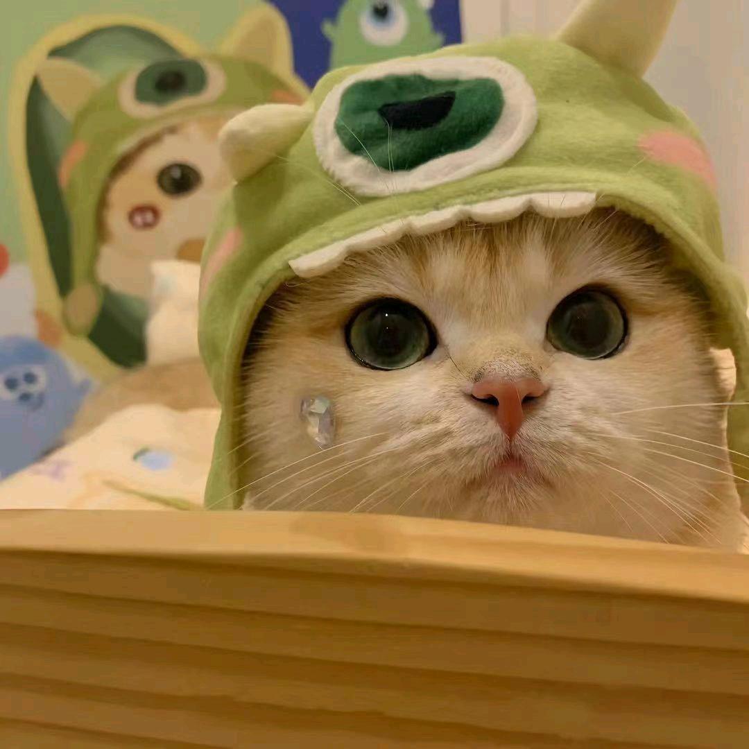 野       丫       鬟