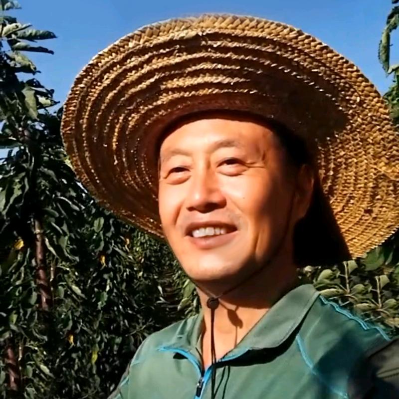绿旺大樱桃种植基地喜来春店
