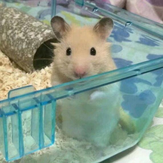 南街少年醉北酒