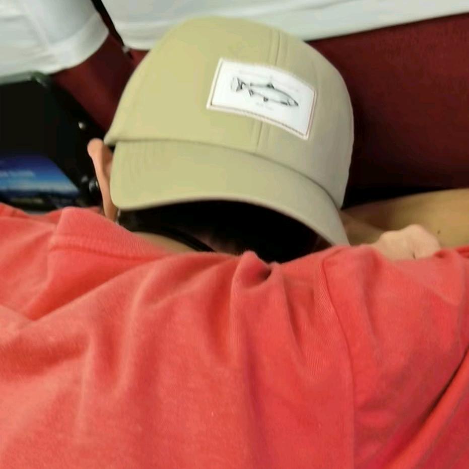 六宫粉黛无颜色