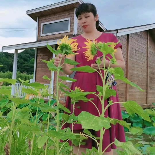 连州婚介💞