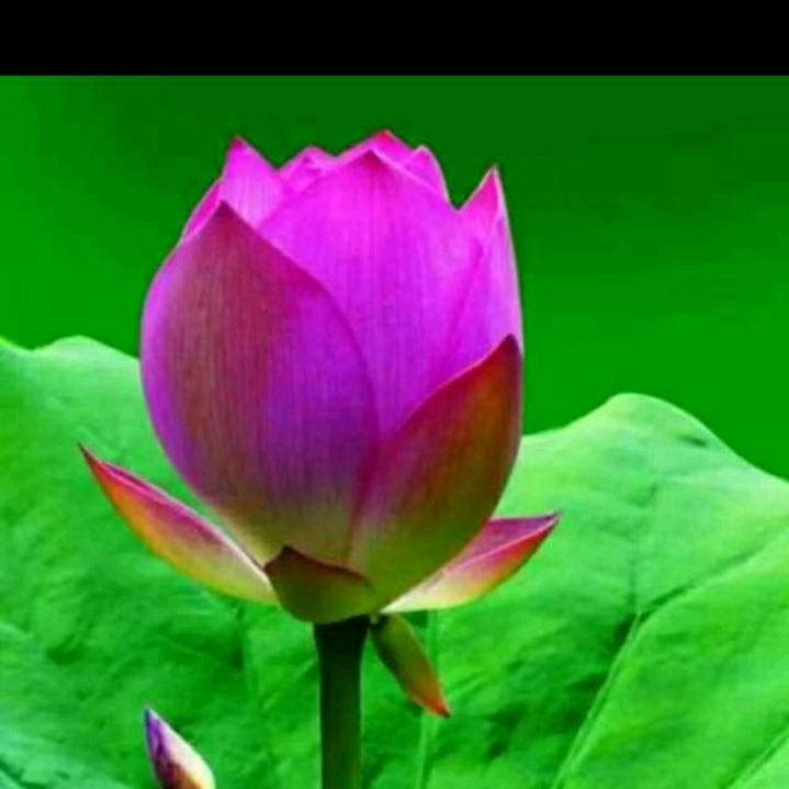 农村的小妹子🌻🌻🌻看淡一切