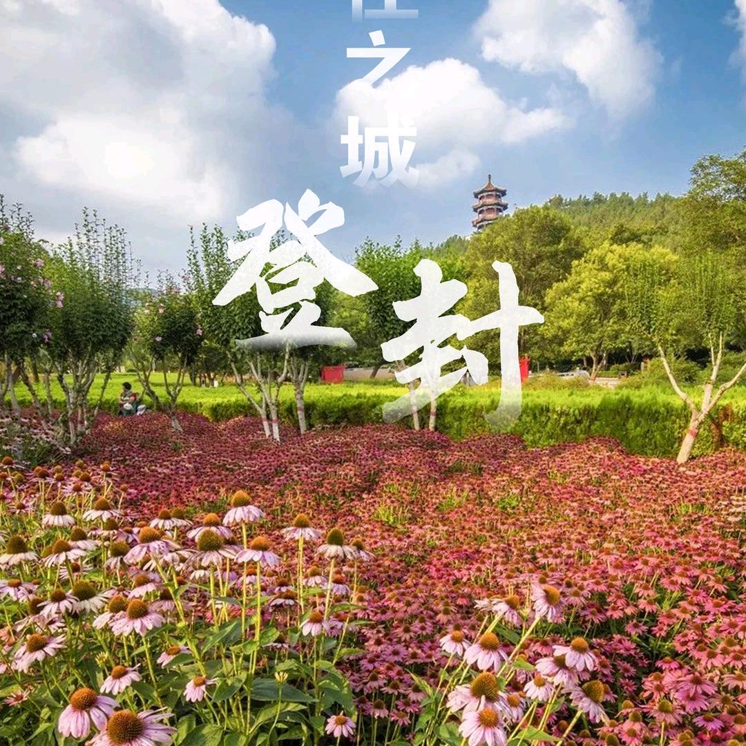 为了明天