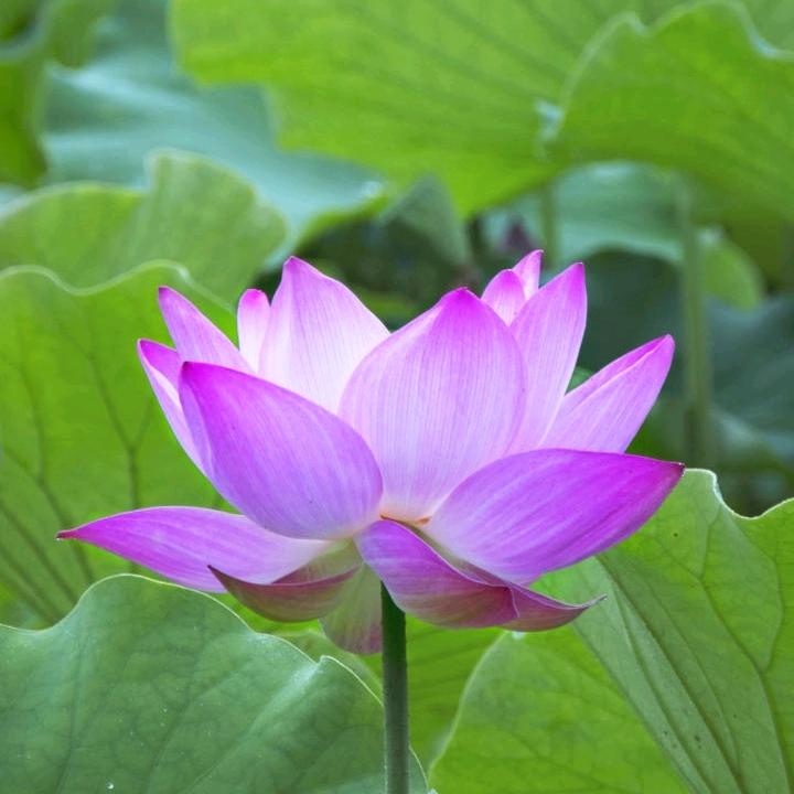 郝民国