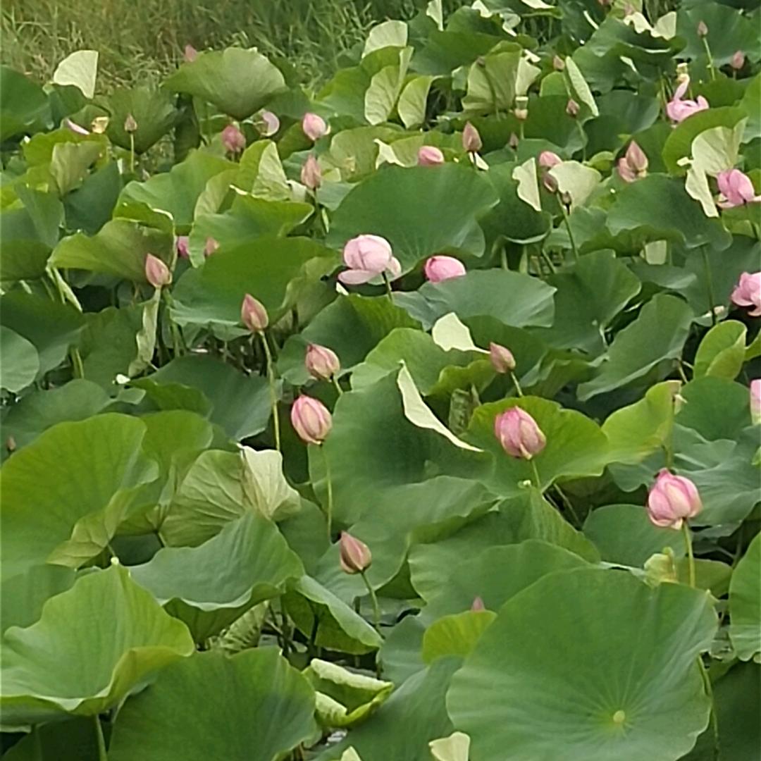 陪你到老的人（拒绝私聊）