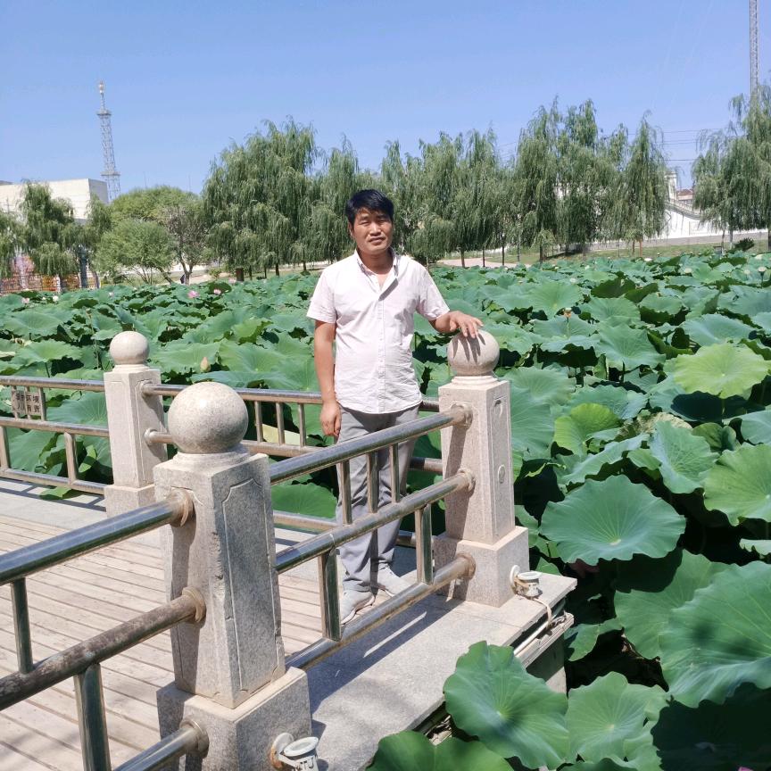 开心每一天
