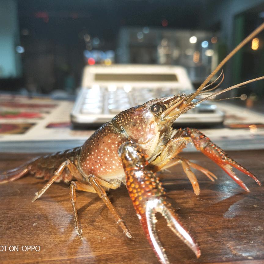 什邡市亿品香餐饮店