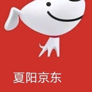 夏阳JD京东家电