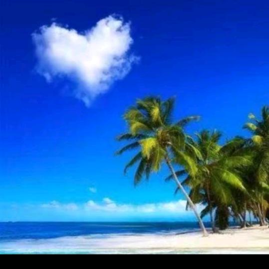 鸡鸭鹅苗批发（喜来健）