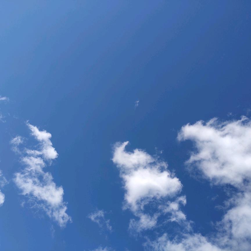 美好生活 放飞心情