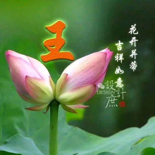 快乐每一天
