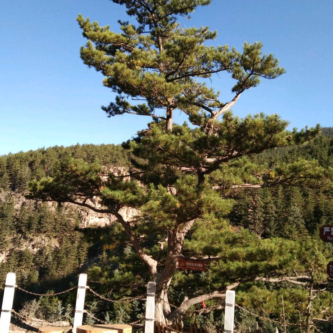 感叹现实，一切都是浮云
