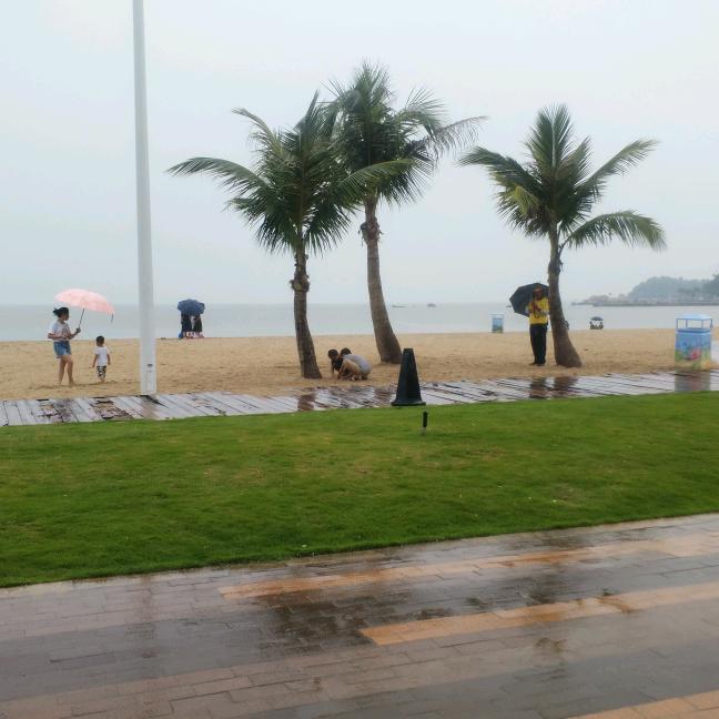 湘源铁棍山药/姜/蒜 全国代销