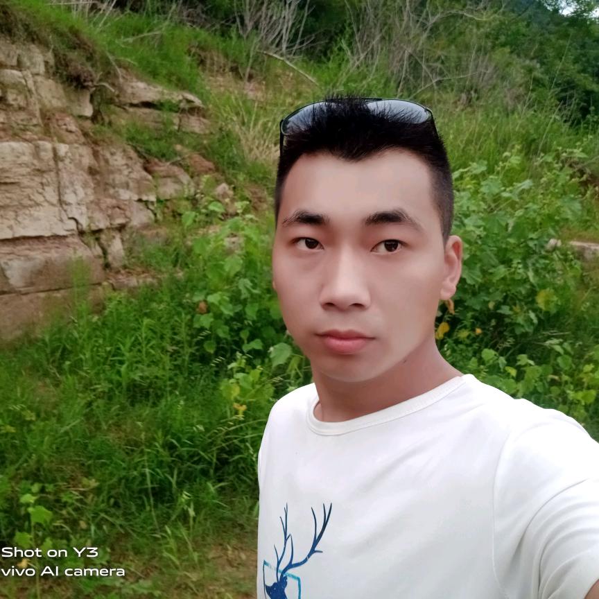 楊寬林