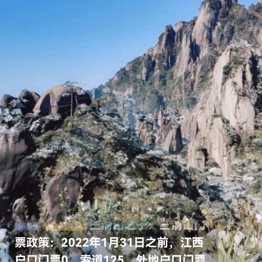 鲍