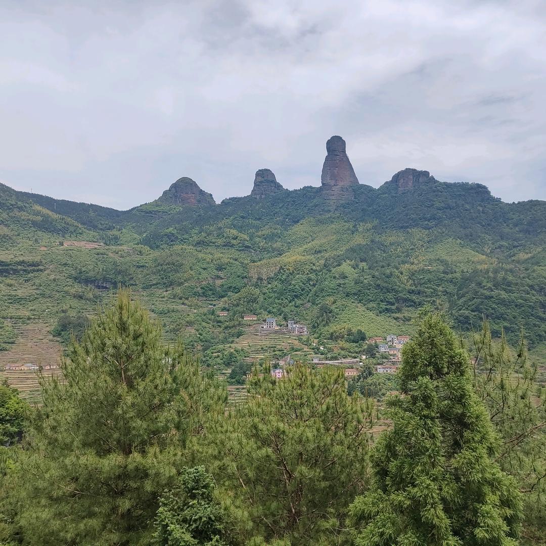 杨家人
