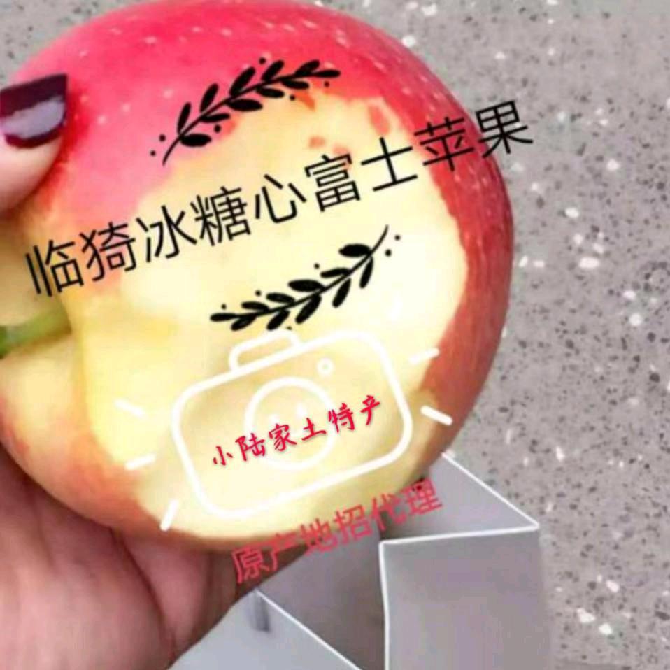 苹果小陆哥（v名）