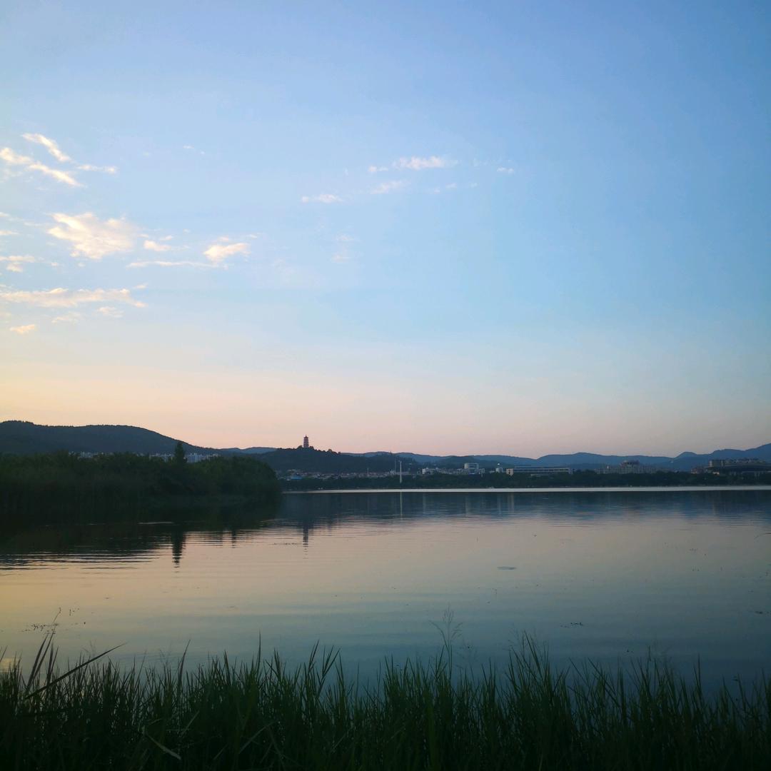 云南学历报考王老师