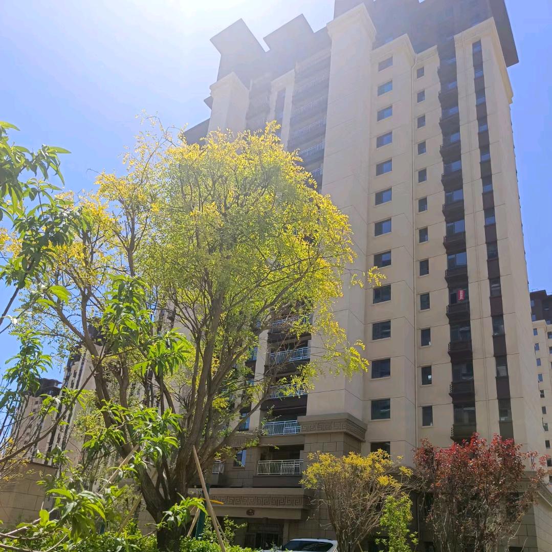 金都上和琚@欣然