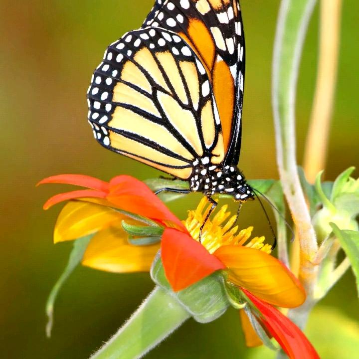 用户7489261695046丽