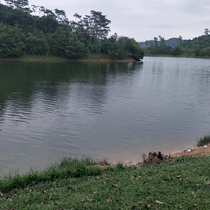 阿宗