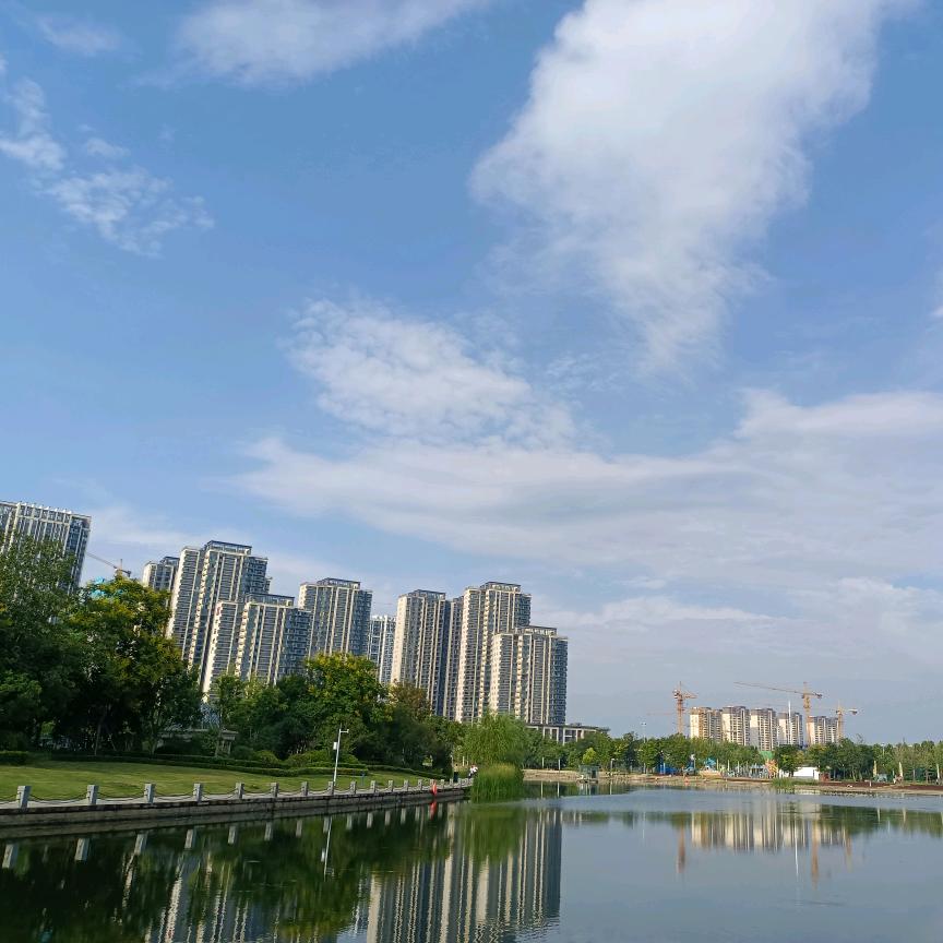 小李小李  暴富锦鲤