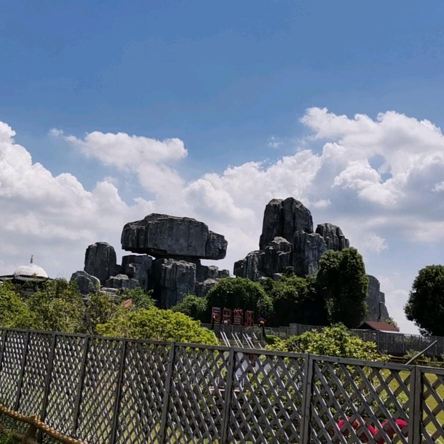 好可爱的小狗啊