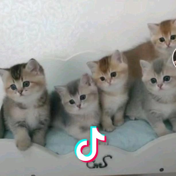 爱的世界只有你