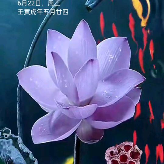 用户9059771110270小凡