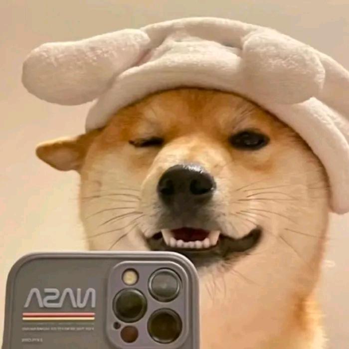 天书