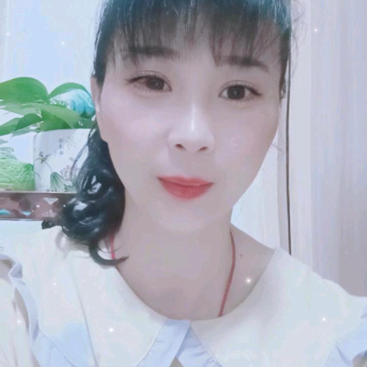 小菊