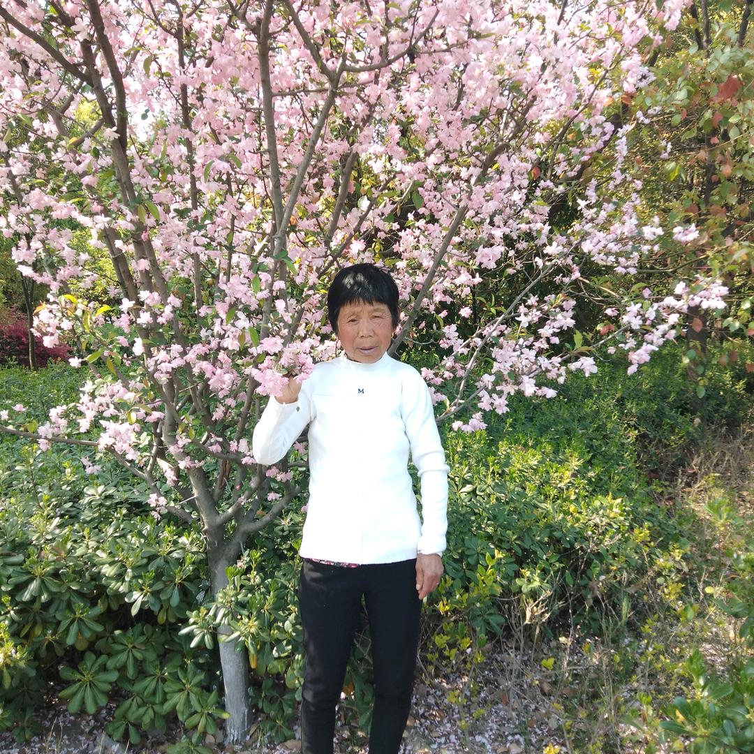 林子曦