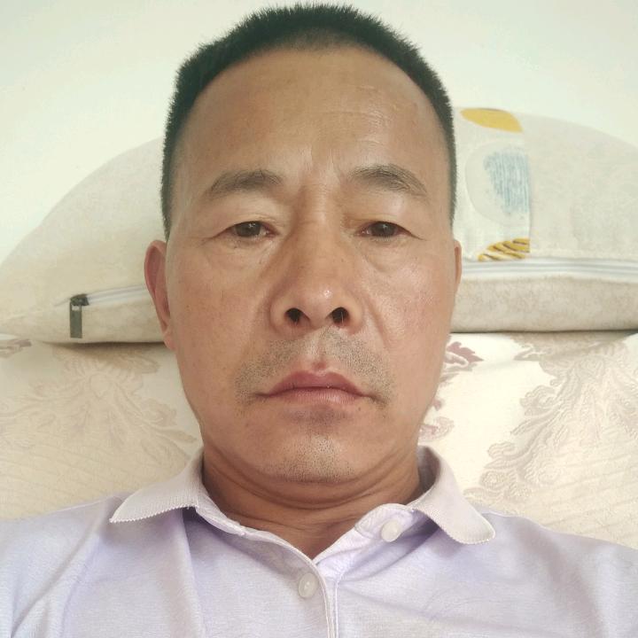 真情寻友