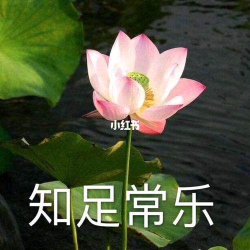 用户24743610头像