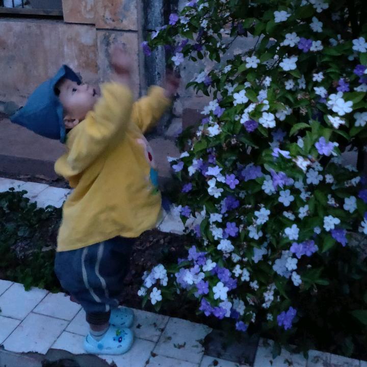 新新