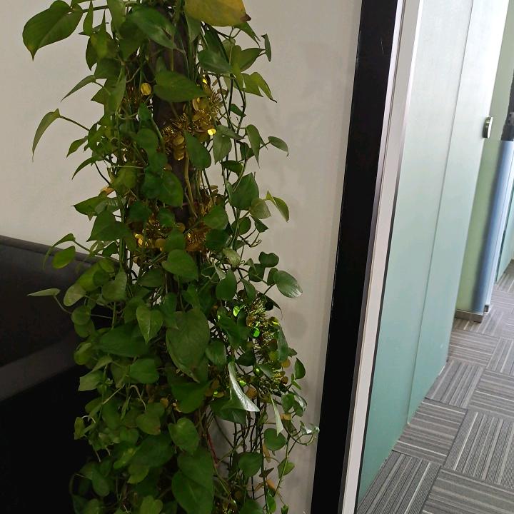 专业网络设备