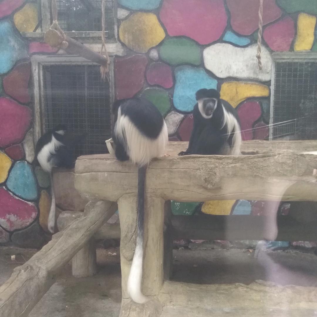 感悟人生（冬生）