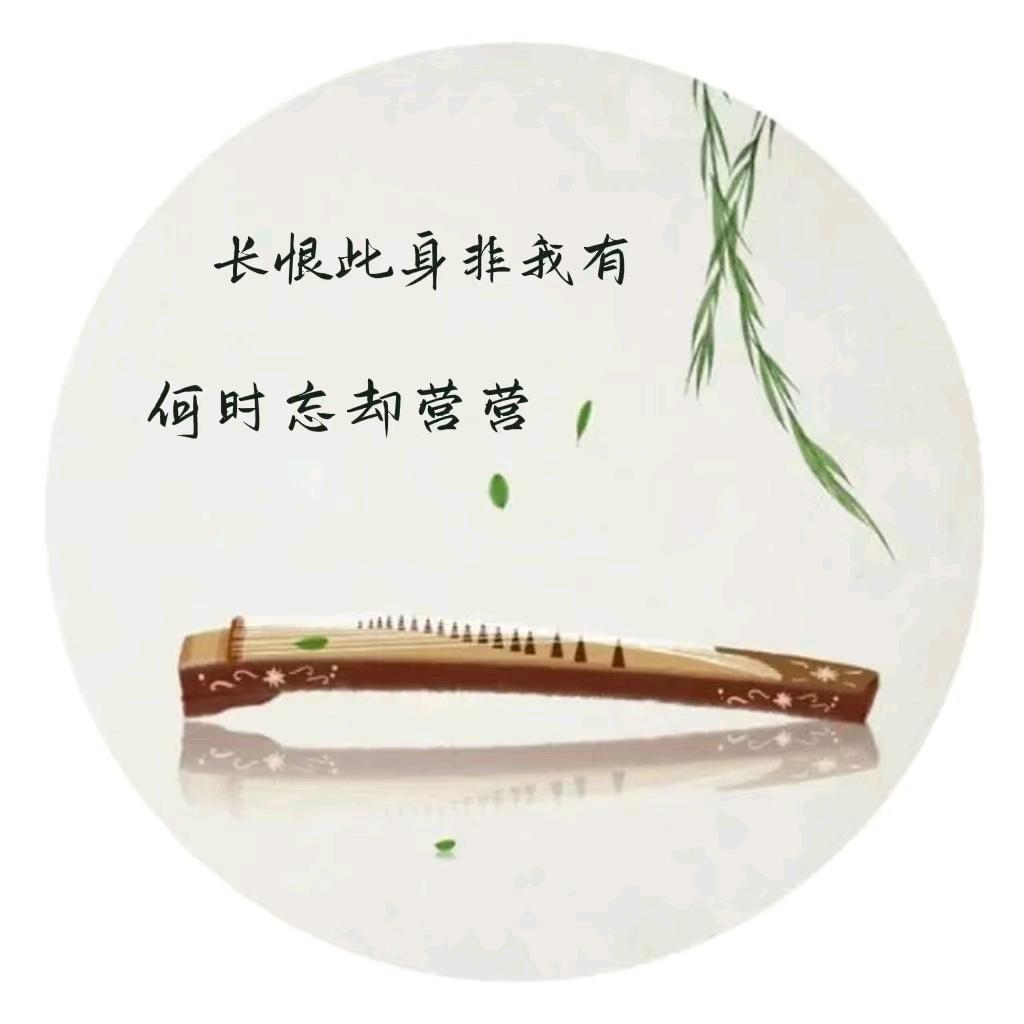 汤汤的诗意