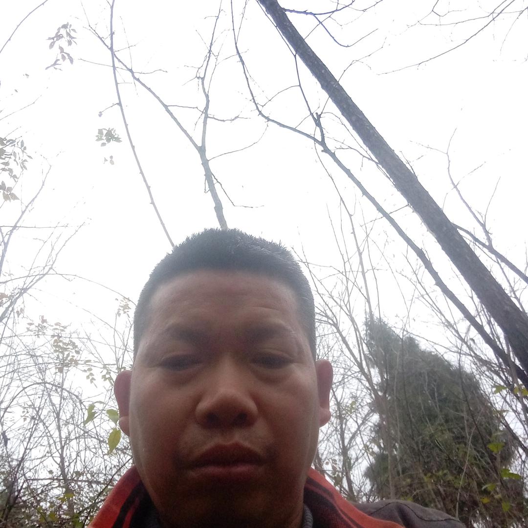 雷氏家人