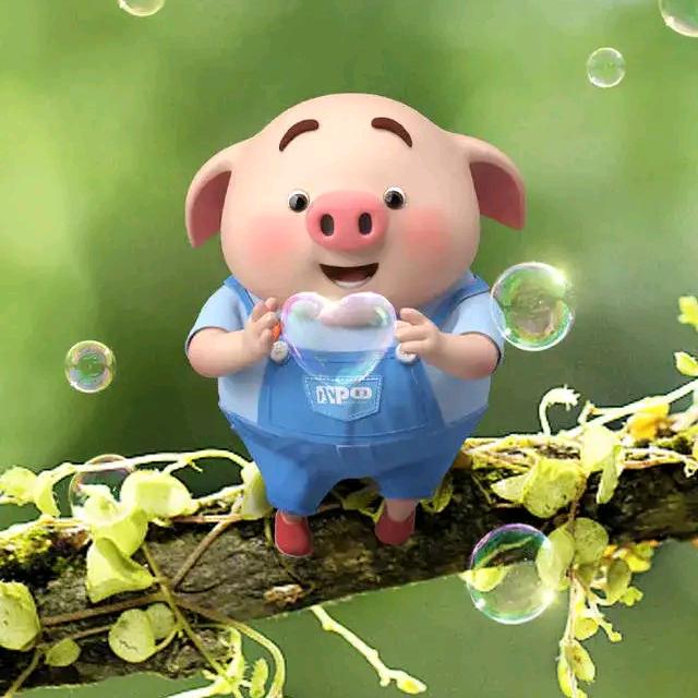 🌷路过♡🍎