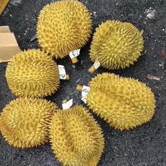 果霸