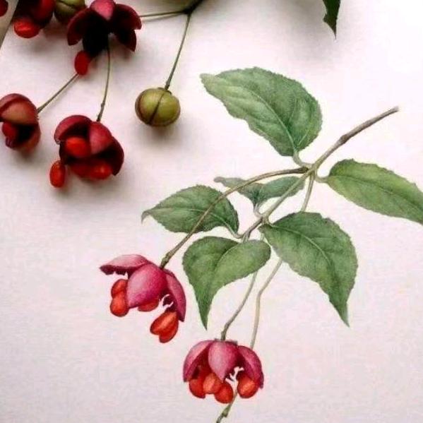 友你真好（72🐭）