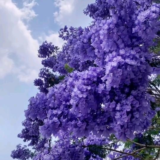 ໑ຼₒ₂5ღ᭄风雨同周꧔᭄💞