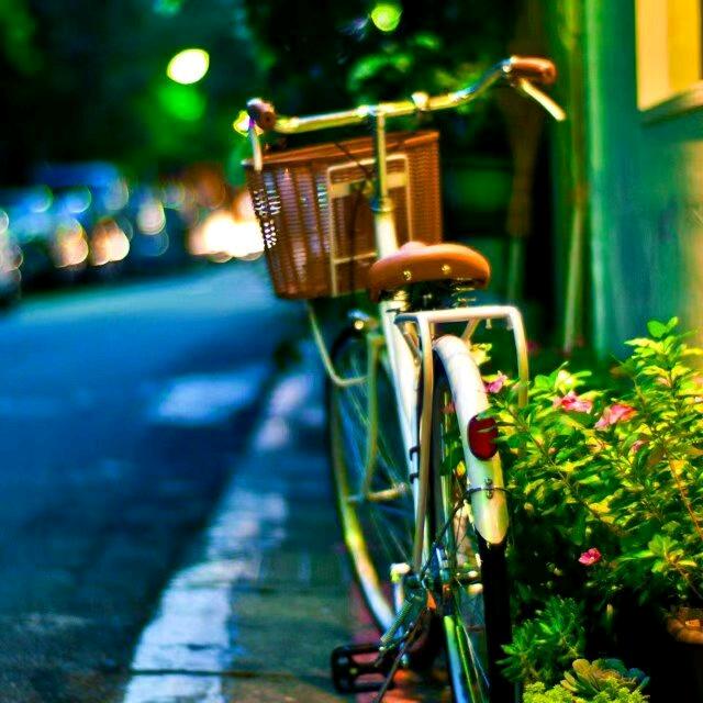 小蝴蝶无止境自由飞