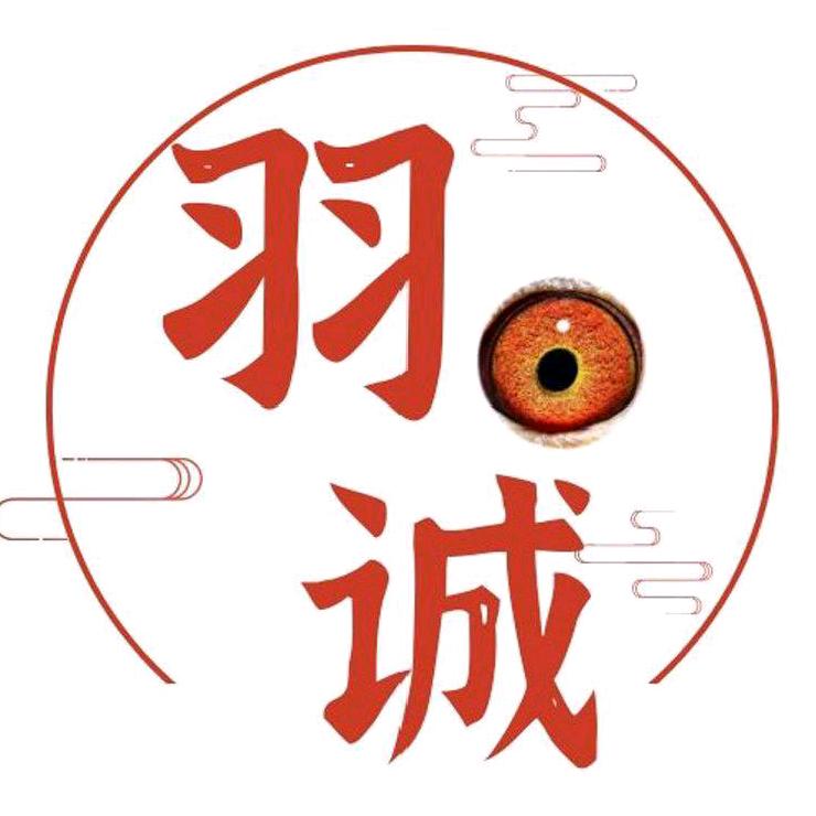 羽诚鸽用